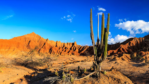 South Desert
