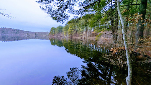Gates Pond Reservoir Loop Trail - Thumbnail