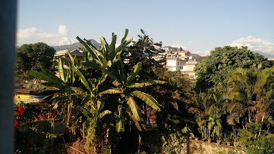 Photos of Hotel Grand Holiday