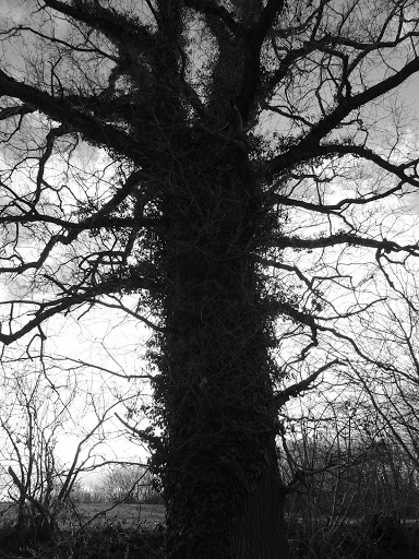 Plötzenberg - Visual