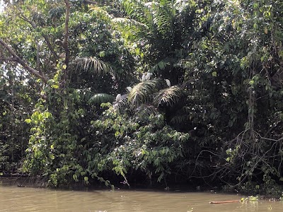 Photos of Sierpe Central Park