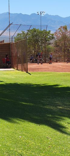 Mesquite Senior Games - Thumbnail