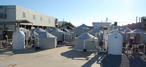 University of North Carolina Wilmington Aquaculture Facility - Thumbnail