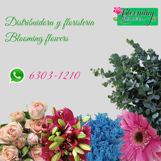 Distribuidora y floristería Blooming flowers