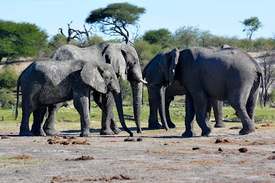 Photos of Makgadikgadi Pans National Park