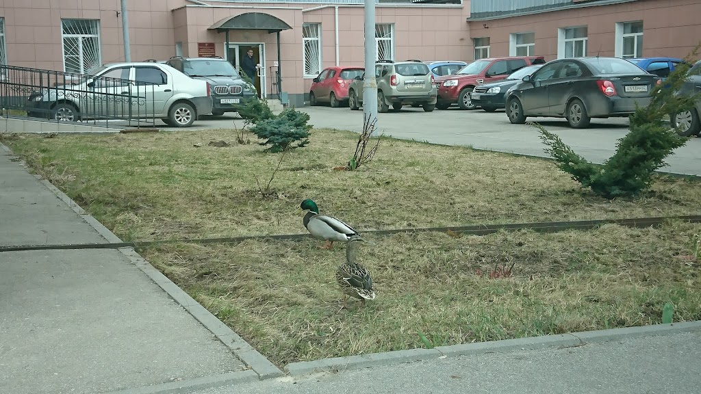 Ул спортивная рязань. Спортивный диспансер Рязань. Спортивная 13 Рязань.