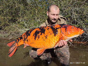 Photo n°16 de Fusion Baits à Aingeray (Magasin de pêche)