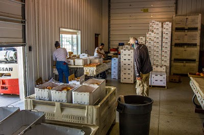 McLean Farms Peach Ice cream