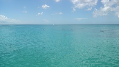 Photos of Tiami Catamaran Cruises