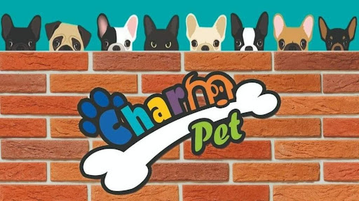 Charm pet