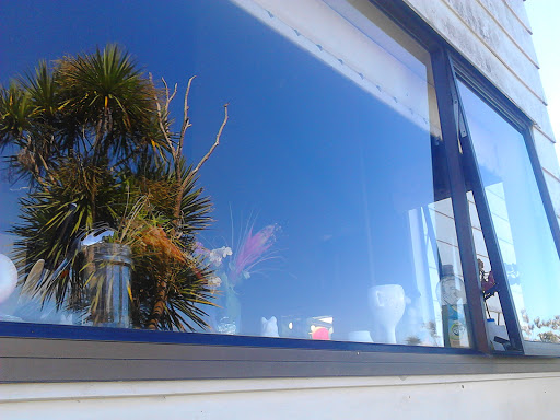 Waitakere Window Cleaning Service