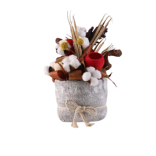 Aly dafna flower shop