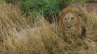 Photos of Mooifontein