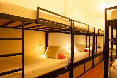 Photos of Top Banana Guesthouse & Rooftop Bar