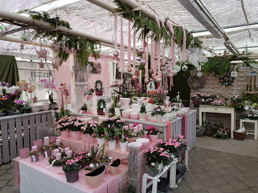 Wurster Blumen und Pflanzen - Thumbnail