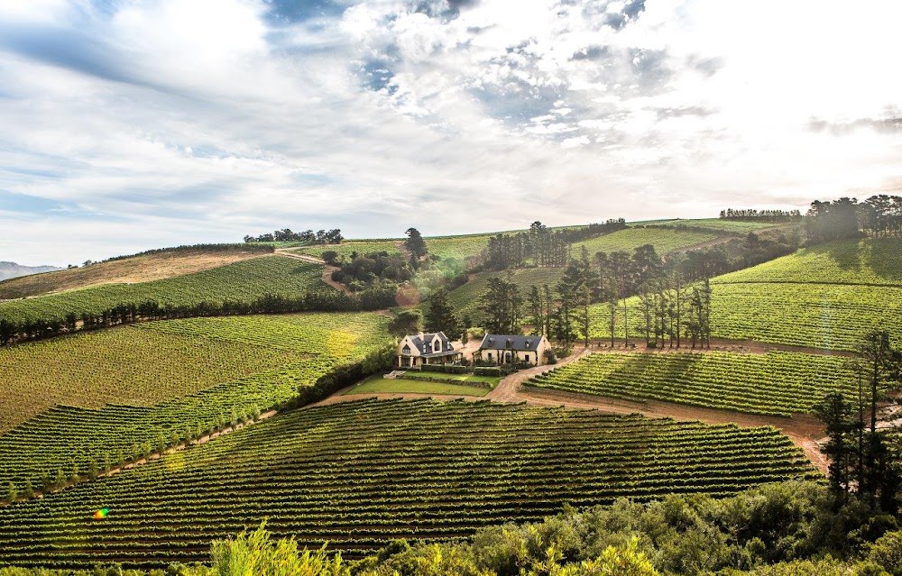 Highberry Vineyards & Venue