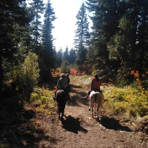 Indian Camp Campground - Thumbnail