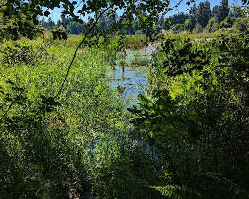 Taylor Wetlands Park