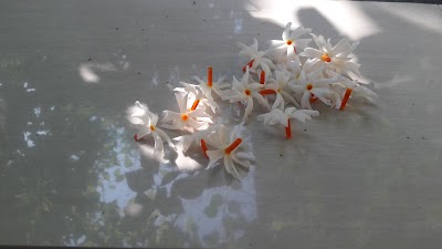 Photos of Uttara University eee dept.