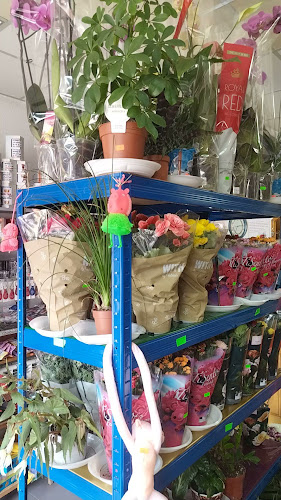 магазин ДОНИТА подаръци и цветя