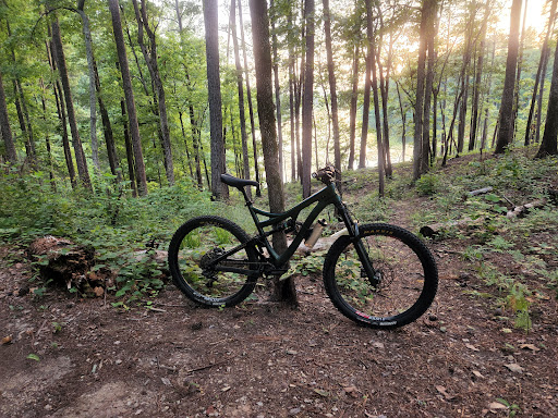 Sylaward Trail at Lake Howard - Thumbnail