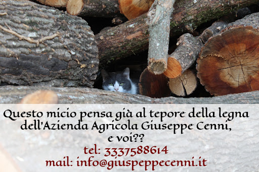 Azienda Agricola Cenni Giuseppe - Thumbnail
