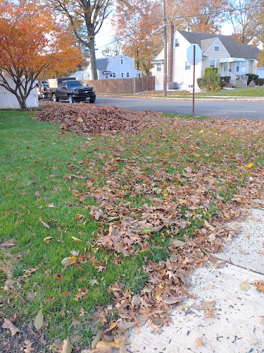 Green Lawns 4u Landscaping LLC