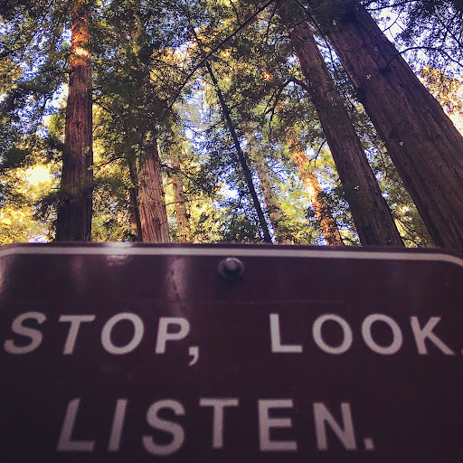 freebird bodywork & forest bathing - Thumbnail