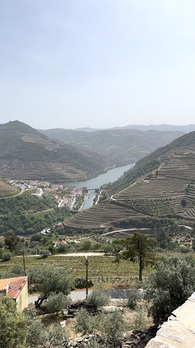 Oporto Road Trips - Douro Valley Wine Tours - Agência de viagens