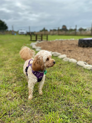 Wagspot Private Dog Park