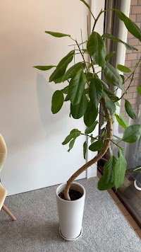 MIL-接骨・鍼灸-