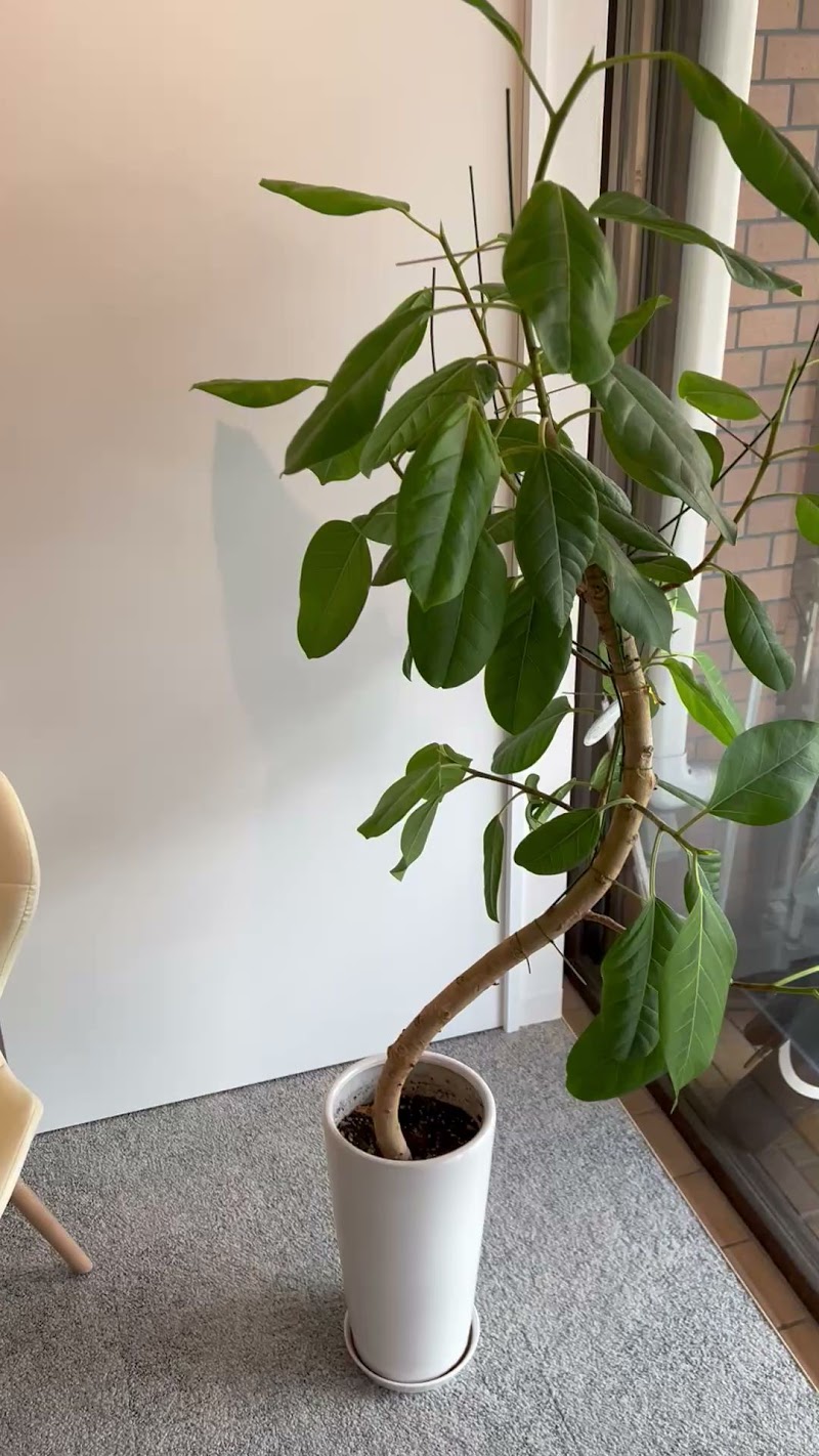 MIL-接骨・鍼灸-