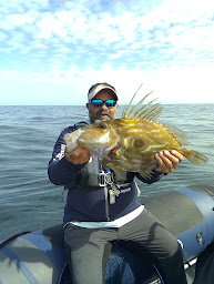 Photo n°6 de Ship and Fish, Concessionnaire multimarque, Sortie pêche, Magasin, Atelier, Stockage de Bateaux à Les Portes-en-Ré (Courtier en bateaux)