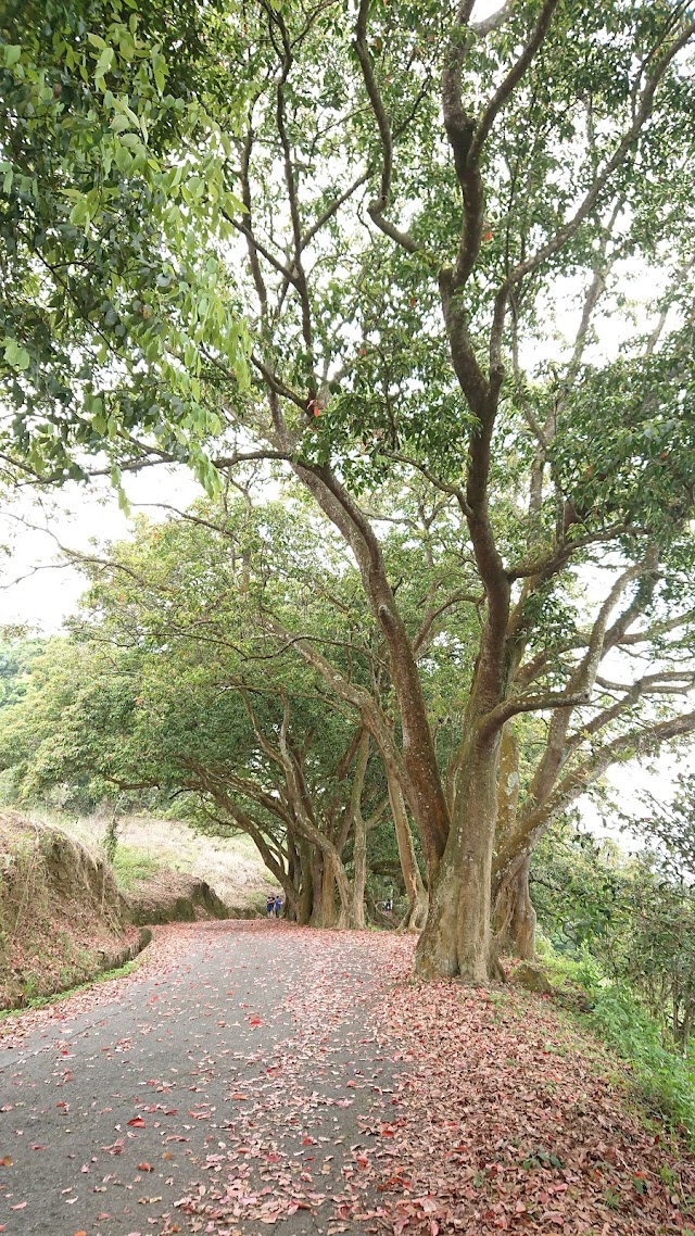 Maolan Mountain Trail
