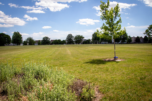Cider Creek Park, Bolingbrook Park District - Thumbnail