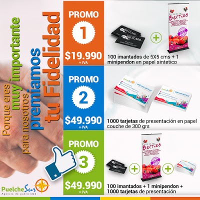 Photos of Imprenta Agencia de Publicidad Puelche Sur