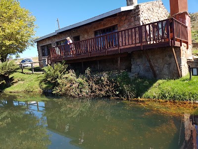 Photos of Treeferns Trout Lodge