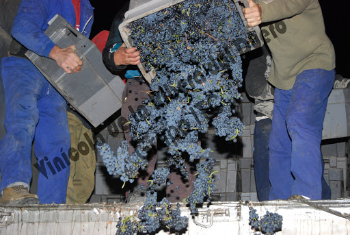 Vinícola de la Ribera del Duero - Thumbnail