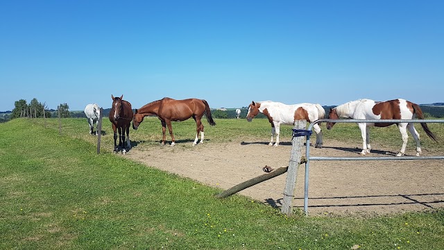 Domaine provincial de Chevetogne