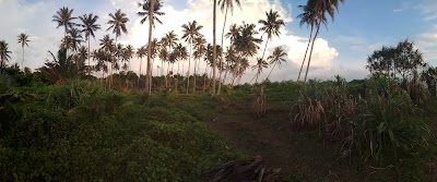 Photos of Cocoplant Surf Inn & Surf Camp