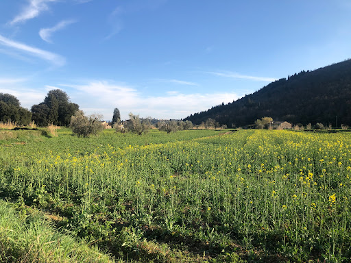 Travalle