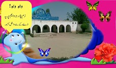 UMAR BIN KHATTAB MODEL SCHOOL peshawar