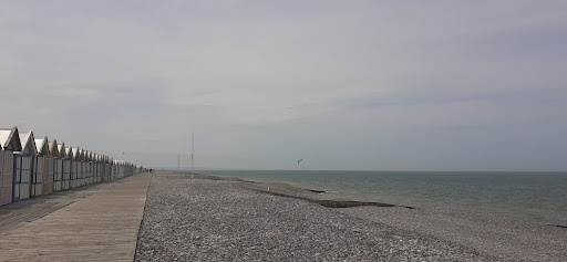 CAYEUX-SUR-MER - BRIGHTON Avenue Parmentier
