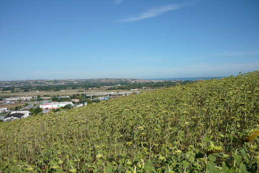 Filippetti S.p.A. - HQ Ancona Falconara
