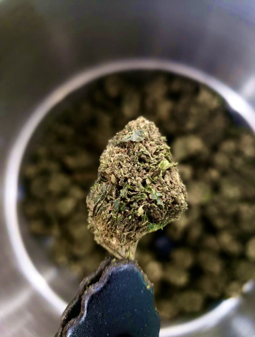 Brady’s Botanicals