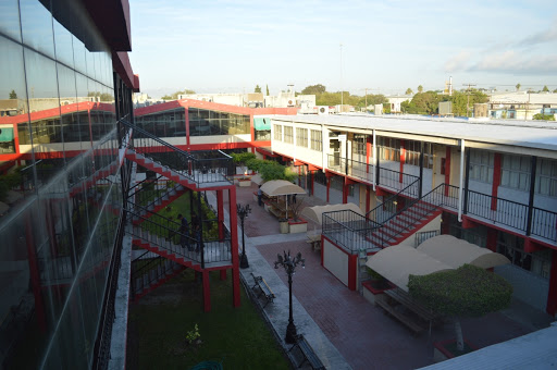 Universidad de Matamoros - Thumbnail