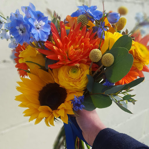 Sweetpeas and Sunflowers - Thumbnail