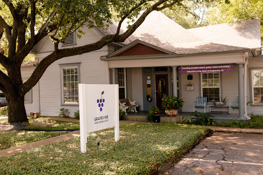 Grapevine Performing Arts - Visual