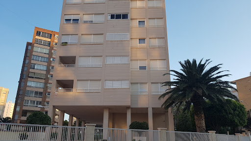 La Alicantina Inmobiliaria