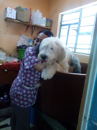 Veterinaria Y Estetica Canina Yin-Yang